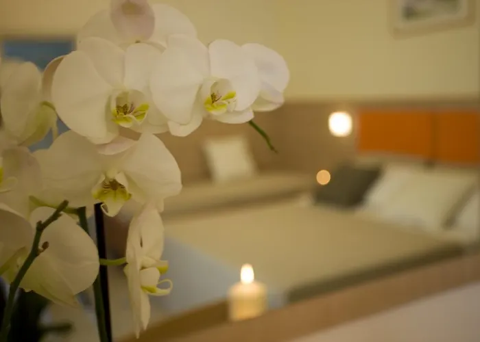 Hotel Consuelo